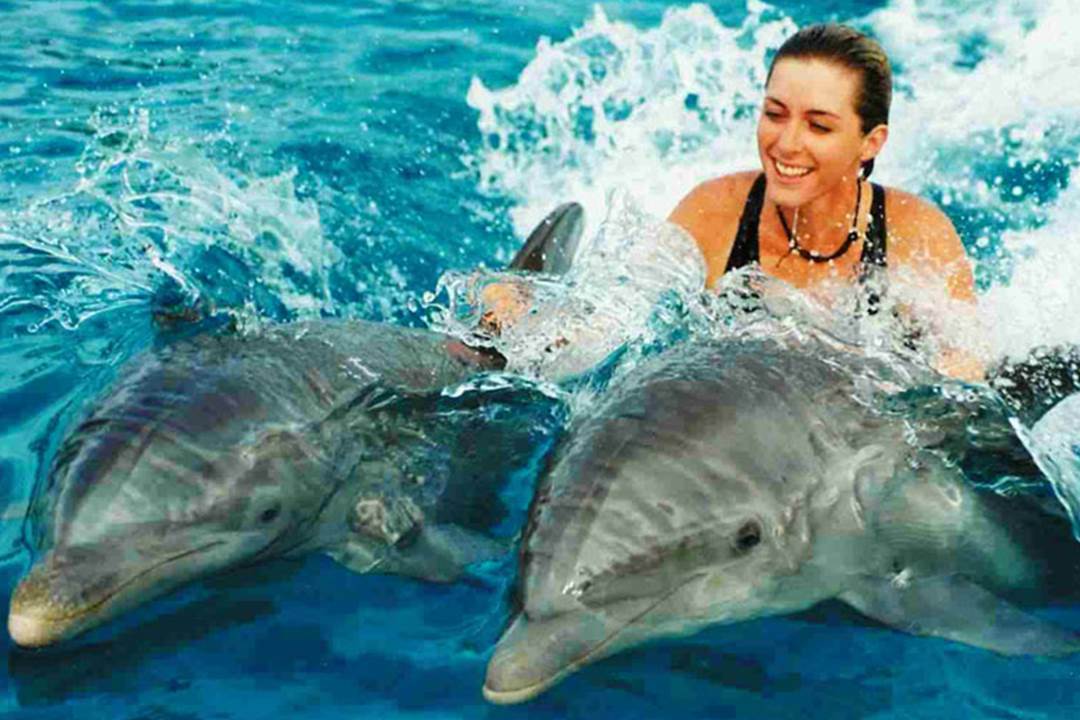 Dolphin Delight Safari
