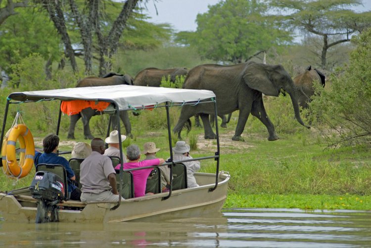 3-Days Wild Heart of Tanzania, Mikumi & Selous Safari Adventure